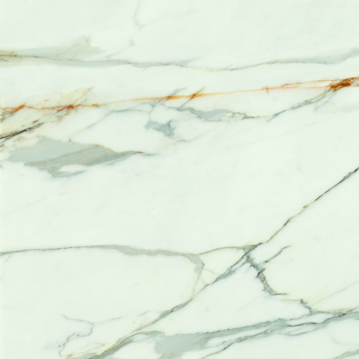 Ape Calacatta Borghini - Porcelain Tiles